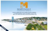 VOUS CHERCHEZ UN CADRE EXCEPTIONNEL… LA MARTINIQUE …martinique.media.tourinsoft.eu/upload/Presentation... · 2017-02-12 · 2 club med les boucaniers 3 4 5 hÔtel bakoua 6 hÔtel