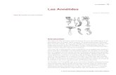 BIO 2X21 Zoology Lab Manual.book(Annelida.fm)nico8386.free.fr/cours/BA/Lesannelides.pdf · 78 - Animaux: structures et fonctions BIO 2521 - Hiver 2000 Figure 41. Formation du cocon