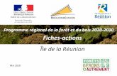 Fiches -actions Île de la Réuniondaaf.reunion.agriculture.gouv.fr/.../PRFB_Fiches... · Fiche -action n°2 Préparer un contrat de filière sur les bases d’un modèle économique