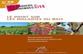 JAN 2012 S TECHNIQUES CIVB - plan-deperissement-vigne.fr · Ce cahier technique présente un résumé des connaissances sur ces maladies, sur les moyens de prévention à disposition