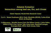 Amazon Scenarios: Interactions among land use, fire, and climate …lcluc.umd.edu/sites/default/files/lcluc_documents/... · 2015-12-17 · Amazon Scenarios: Interactions among land