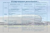 Programme provisoire portrait - Liège · 2016-06-28 · SM˝ : Symposium ˝ : Prise en charge des urgences psychiatriques Dr C. MASSOUBRE (Saint-Etienne) : Bilan des lits d’urgences