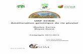 agritrop.cirad.fragritrop.cirad.fr/566920/1/document_566920.pdf · URP SCRID Amélioration génétique du riz pluvial Campagne 2011-2012 1 Table des matières . POINTS SAILLANTS DE