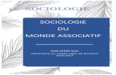 SOCIOLOGIE DU MONDE ASSOCIATIF - Le site de Jean-Serge Eloijs.eloi.free.fr/documents/soc_des_associations.pdf · cation des créations d’associations dans les années 1980. 1/ Des