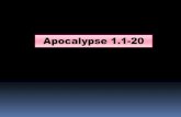 Apocalypse 1.1-20...Apocalypse 20.6 Heureux et saints ceux qui ont part à la première résurrection ! La seconde mort n’a point de pouvoir sur eux ; mais ils seront sacrificateurs