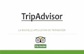 TripAdvisor* · PDF file tripadvisor.com Cœ)81e tripadvisor Saint-Léonard 3 Rechercher canton du valais - Google Maps Partager Autres > Reviews of Hotels, Flights Connexlon 10 best