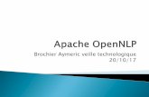 Brochier Aymeric veille technologique 20/10/17air.imag.fr/images/9/9c/VT2017_ONLP_presentation2.pdf · Social Media Social Media Tokenization PoS Tagging Chunking NER . NER (Name