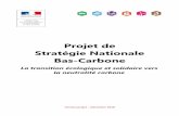 Projet de Stratégie Nationale Bas-Carbone · La stratégie est adoptée par le gouvernement (décret N°XXXXXXXXXXXXXXX relatif aux budgets carbone nationaux et à la stratégie