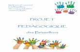 PROJET PEDAGOGIQUE des Brassillous - Poisy€¦ · Le conseil de crèche regroupe des élues chargées de la petite enfance, les directrices de crèche, des membres du personnel et