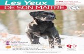 Les Yeux de ChienS guideS d’aveugLeS n°119 NOVEMBRE 2018 · 2019-05-27 · 06. doSSieR L'engagement au cœur de la cause des chiens guides hiStoiReS de vie Deux ans sans chien