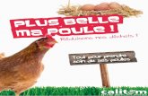 Calitom, service public des déchets de Charente, assure les … · 2019-11-04 · Protégez les poules des prédateurs en clôturant le terrain avec un grillage de 2 mètres de hauteur.