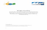 Projet SusTEn - Chambre de commerce et d'industrie de Lyon · 2014-10-07 · Promotion de la RSE dans sa sphère d’influence, au sein du milieu d’affaires, création d’un réseau