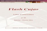 Flash Cujasbiu-cujas.univ-paris1.fr/sites/default/files/documents/flash55_0.pdf · « Paru en 2009 sous le titre : "Le Web 2.0 en bibliothèques : quels services ? quels usages ?".