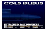 N° 3017 DU 13 JUILLET 2013 LE MAGAZINE DE LA MARINE cols-bleus-fr.s3. Bleus 3017.pdf · PDF file biliser le budget de la Défense à 31,4 milliards d’eu-ros par an, tout en maintenant