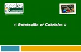 « Ratatouille et Cabrioles - CODES 83€¦ · «« Ratatouille et Cabrioles»Ratatouille et Cabrioles » Objectif général : Développer un programme d’éducation nutritionnelle