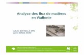 Analyse des flux de matières en Wallonie€¦ · Les guides méthodologiques d’Eurostat et particulièrement ... destinés au secteur de la construction (calcaires, dolomie, grès