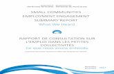 What We Heard RAPPORT DE CONSULTATION SUR L'EMPLOI … · One-on-one interviews were conducted with key stakeholders that included a mix of community, academic, government and subject
