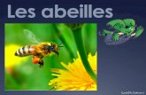 Les abeilles - Eklablogekladata.com/w22qV3Q0RZu6FC8xo94hCNyummM.pdf · De l’oeuf à l’abeille… 1. La reine pond ses œufs dans les alvéoles des rayons en cire de la ruche.