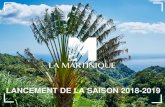 LANCEMENT DE LA SAISON 2018-2019 · 2018-10-12 · 2018 : UNE TENDANCE PROMETTEUSE Source : Comité Martiniquais du Tourisme LE FLUX DE VISITEURS TOURISTIQUES FLUX 2018/2017 JANVIER