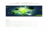 Accueil - Wallonia.be - Export Investment€¦ · Web viewEn 2012, la production moyenne d’une installation solaire photovoltaïque était de 156 kW par centrale et devrait passer