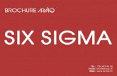 BROCHURE SIX SIGMA - ARIAQ · 2019-03-14 · 3 Email : info@ariaq.ch Web : FORMATIONS Six Sigma –Yellow Belt 1 jour Objectifs •Connaître les principes de base de la démarche