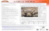 SaigaNews8 2009 rus - Saiga Conservation Alliancesaiga-conservation.org/wp-content/uploads/2015/03/Russian_Issue_8… · Ли, WCS Китай (ygling@online.sh.cn и lli@wcs.org);