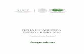 FICHA ESTADÍSTICA ENERO - JUNIO 2016 · PDF file FICHA ESTADÍSTICA ENE-JUN 2016 GRUPO NACIONAL PROVINCIAL DISTRIBUCIÓN DELEGACIONAL DE LAS RECLAMACIONES: 2,593 (*) Área Jurídica