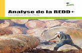 Analyse de la REDD+ - CIFOR · PDF file 2013-05-17 · 2.1 Moratoire indonésien sur les permis de déforestation : la politique du possible 24 Frances Seymour 2.2 Dépendances historiques