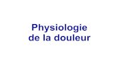 Physiologie de la douleur - Freeguigui5000.free.fr/Cours K2/Neuro-Physio/Douleur K2 2007.pdfLa douleur peut survenir lors de la stimulation de récepteurs qui ne sont pas impliqués