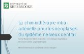 La chimiothérapie intra- artérielle pour les néoplasies · Comprendre la physiologie derrière la de chimiothérapie intra- artérielle et le bris de la barrière hémato-encéphalique