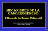 Mécanismes de la Cancérogenèse - SAHGEEDLes folates : une supplémentation précoce diminue O¶pYROXWLRQGHODFDUFLQRJHQqVH Hydrates de carbones : rôle controversé du butyrate (produit