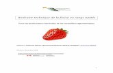 Itinéraire technique de la fraise en rangs nattésagrobonsens.com/wp-content/uploads/2017/03/IT-fraise...peu avant ou tout juste après la levée des mauvaises herbes. Entre 4 et