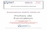 Fiches de Formation - IUT Annecy · 2019-10-07 · GEA et TC Annecy – Destinations et programmes pour une 3ème année à l’étranger 1 RELATIONS INTERNATIONALES Destinations