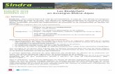 Sindra - Observatoire des déchets en Auvergne …...en Auvergne-Rhône-Alpes ENQUÊTE 2018 DONNÉES 2017 Définitions Biodéchet : selon l’article R451-8 du code de l’environnement,