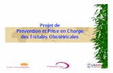 Projet de Prévention et Prise en Charge des Fistules ...fistulacare.org/wp-fcp/wp-content/uploads/pdf/accra-meeting/french/...Buts et Objectifs du Projet… 2008-20012: Contribution