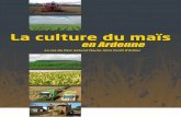 en Ardenne - Fourrages Mieux€¦ · L’objectif de cette brochure est de présenter objectivement les atouts, mais aussi les limites de la culture du maïs dans les conditions de