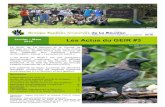 2019 Les Actus du GEIR #3 - espaces naturelstemeum.espaces-naturels.fr/.../eee_la_reunion_janvmars2019.pdf · qui impactent la biodiversité locale. Le plan de communication triennal