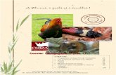 A Plumes, à poils et à écailles - Zoo de Cerza · 2017-04-05 · catégories d’animaux. Il s’agit alors de savoir dire qui pond des œufs et qui nourrit avec du lait un petit