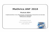 Mathrice ANF 2018...Moteur de recherche et data-visualisation 4 6 Décembre 2018 C. Cancé - C. Lenne ANF-MATHRICE Conception d’un lac de données: préalable à l’intégration