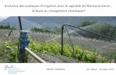 Evolution des pratiques d'irrigation dans le vignoble de ... · Communes fortement développées (tourisme, habitat) : concurrence autres usages pour accès à la ressource. Présene