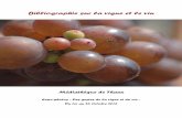 Bibliographie sur la vigne et le vin - Thann- Par les champs et par les vignes / Marcel Lachiver ; iconographie