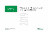 Rapport annuel de geston 2019 - cnesst.gouv.qc.ca€¦ · année de son Plan stratégique 2017-2019. C’est donc avec un plaisir renouvelé que je vous présente, au nom du conseil