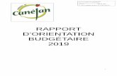 RAPPORT D’ORIENTATION BUDGÉTAIRE 2019 · les priorités du budget primitif. Il est aussi l’occasion d’informer les élus de l’évolution de la situation financière de la