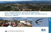 La migration post-nuptiale des oiseaux au fort de la Revère · 2010-04-07 · RESUME : Avec le soutien du Conseil Général des Alpes-Maritimes, la LPO PACA a pu poursuivre la tenue