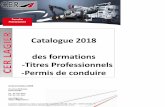 Catalogue 2018 des formations -Titres Professionnels -Permis de … de formation CER... · 2018-01-17 · Le tite p ofessionnel d’enseignant de la conduite et de la sécuité routière