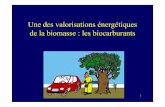 Une des valorisations énergétiques de la biomasse : les … · 2006-06-09 · CNAM 27/04/06 26 Ethanol pur introduit dans l’essence Estimation des surfaces cultivées en France