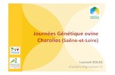 Journées Génétique ovine Charolles (Saône -et-Loire)fr.france-genetique- · PDF file 2014-04-16 · Charolles (Saône -et-Loire) Laurent SOLAS Chambre d’Agriculture 71. La production