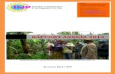 IFDP RAPPORT ANNUEL 2013ifdp-africa.org/IFDP Rapport annuel consolideé 2013.pdf · Photo IFDP 2013 Démonstration - utilisation de la boussole dans la reconnaissa RAPPORT nce parcellaire