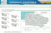 METEOROLOGIE - Hauts-de-France · 2017-11-28 · CÉRÉALES D’HIVER Cette semaine, 21 parcelles de blé et 5 parcelles d’orged’hiveront été observées. Comme la semaine dernière,