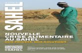 NOUVELLE CRISE ALIMENTAIRE AU SAHEL · régionale de sécurité alimentaire a été mise en place en 2013. Troisième ligne de défense après les stocks alimentaires de proximité